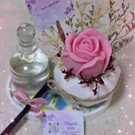 蠟燭花擴香盆栽套組'